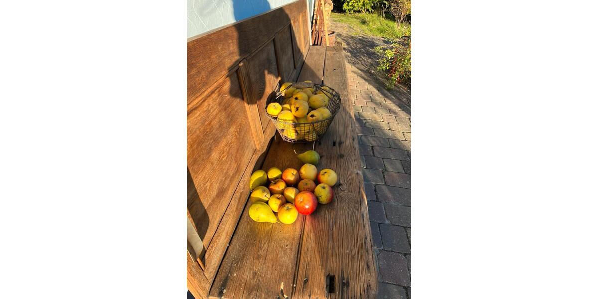 Erdgeschoßwohnung Lubmin - 1 Zimmer, 43 m&sup2;, 650&euro; | Angebot:24374319