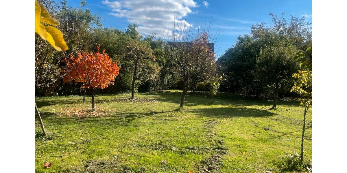 Erdgeschoßwohnung Gengenbach - 2 Zimmer, 70 m&sup2;, 120&euro; | Angebot:25127563