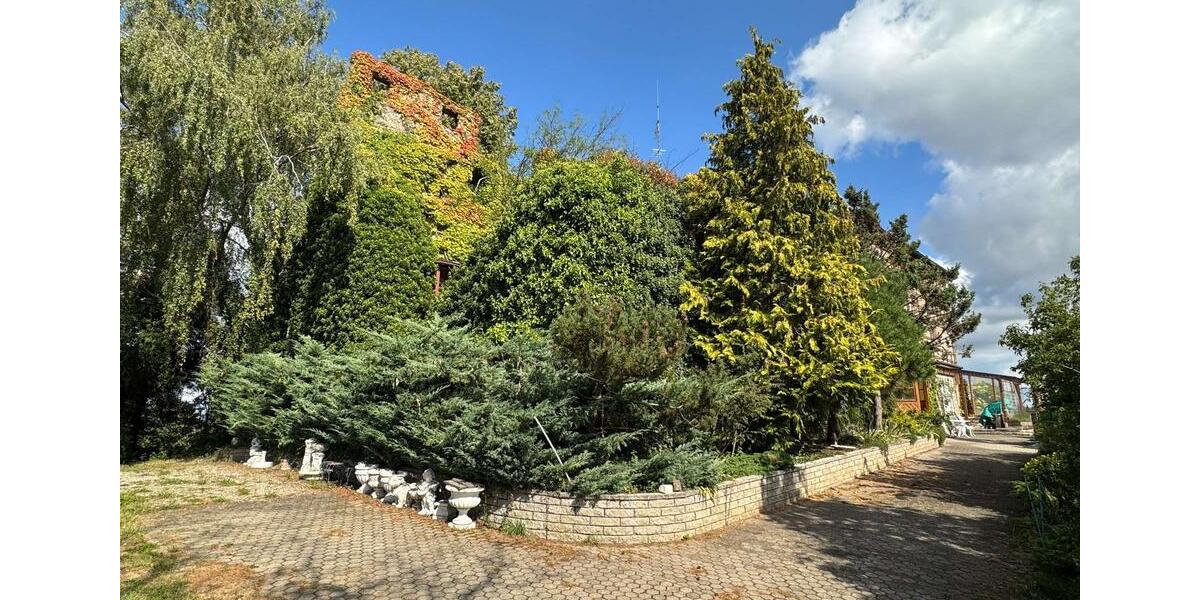 Gewerbeobjekt Thalmässing - 4.600&euro; | Angebot:22533305