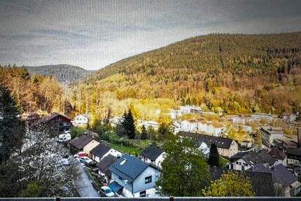 Wohnung Bad Wildbad - 2 Zimmer, 47 m&sup2;, 500&euro; | Angebot:25903842