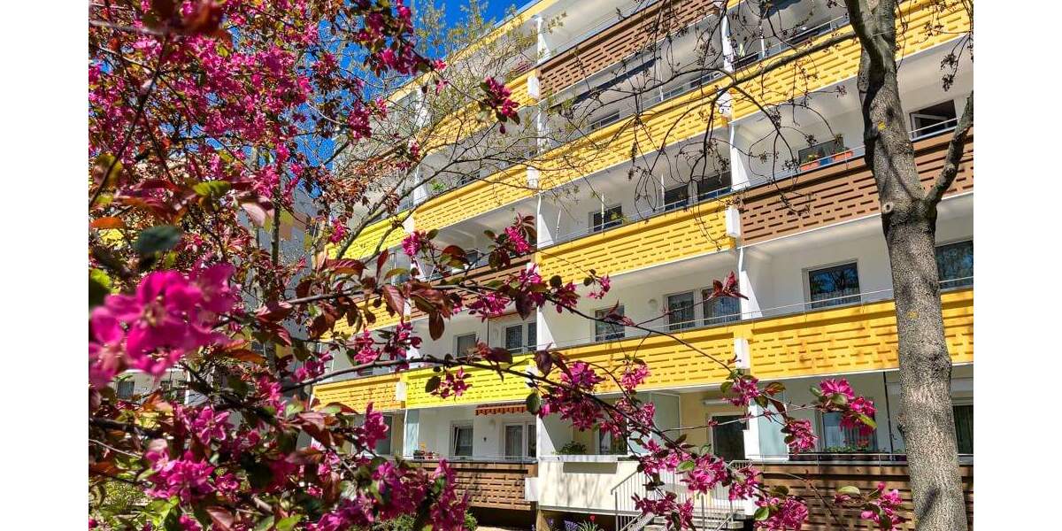 Wohnträume verteilt auf 5 Räume 5 zimmer