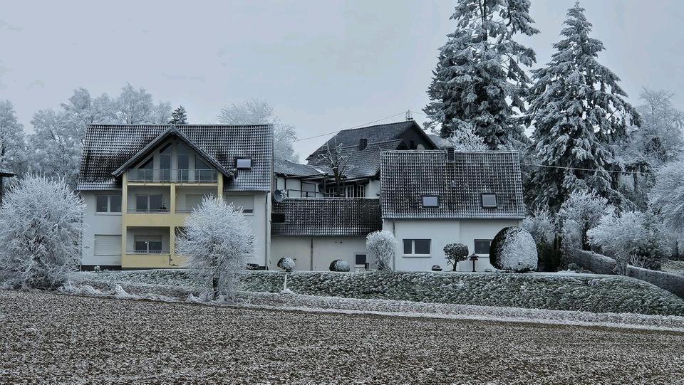 Erdgeschoßwohnung Antweiler - 2 Zimmer, 69 m&sup2;, 600&euro; | Angebot:24771545