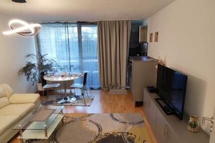 Möblierte 1 Zimmer Wohnung am Wöhrdersee mit Balkon 1 zimmer