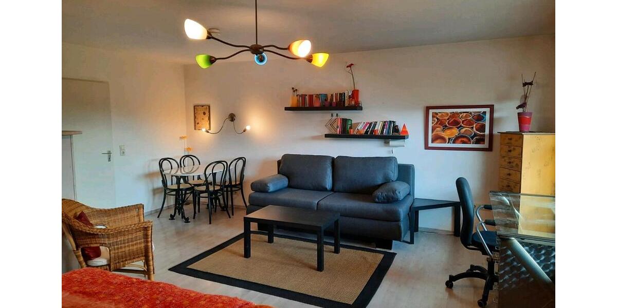 Möblierte 1-Zimmer Wohnung mit Terasse in Waldkirch 1 zimmer