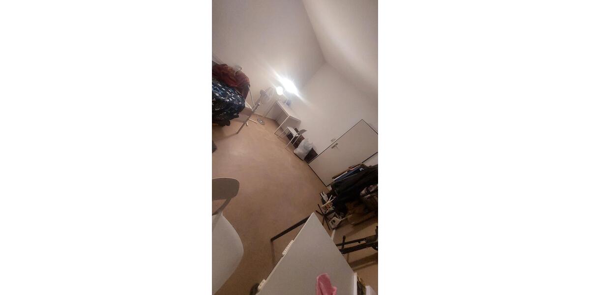 Wohnen auf Zeit Landau in der Pfalz - 1 Zimmer, 22 m&sup2;, 395&euro; | Angebot:26536746