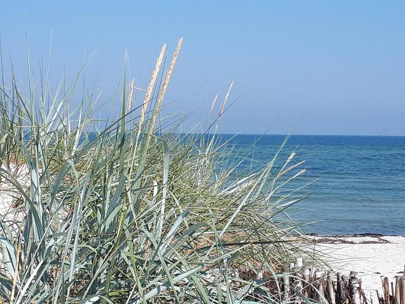 XL FerienWohnung Möltenort Kieler Förde Ostsee bis 7 Pers. ab