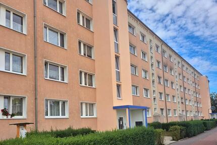 Wohnung Eilenburg - 2 Zimmer, 46 m&sup2;, 315&euro; | Angebot:21481506