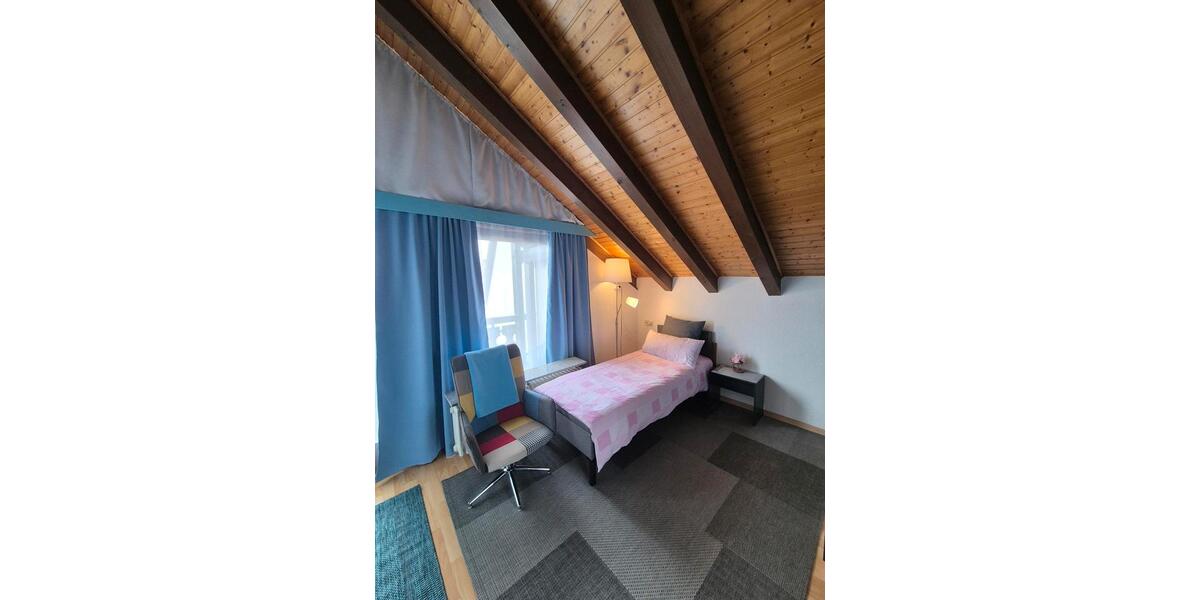 Wohnen auf Zeit Friesenheim - 1 Zimmer, 22 m&sup2;, 780&euro; | Angebot:26677488
