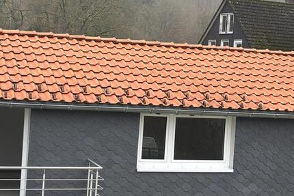 Wohnung Walkenried - 2 Zimmer, 50 m&sup2;, 290&euro; | Angebot:25107507