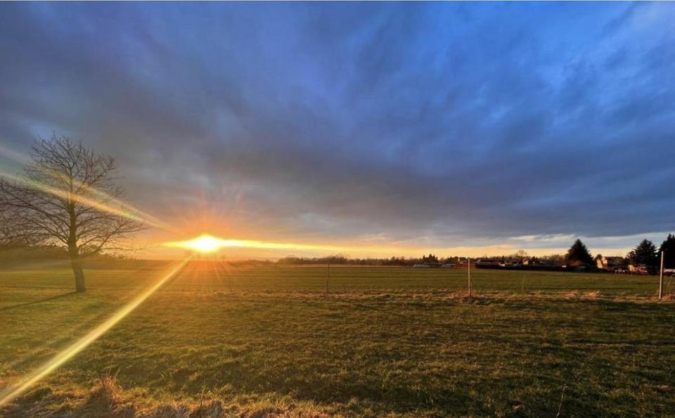 Wohnen auf Zeit Radebeul - 2 Zimmer, 52 m&sup2;, 1.300&euro; | Angebot:25633472