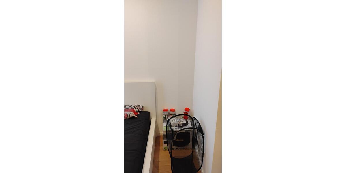 Ein tolles Zimmer in einer 5e Wohnung ab April zu vermieten 5 zimmer