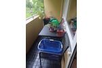 Etagenwohnung Wertheim - 2 Zimmer, 53 m&sup2;, 361&euro; | Angebot:26444717