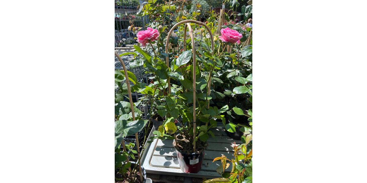 Gewerbeobjekt Obertshausen - 2&euro; | Angebot:20110778