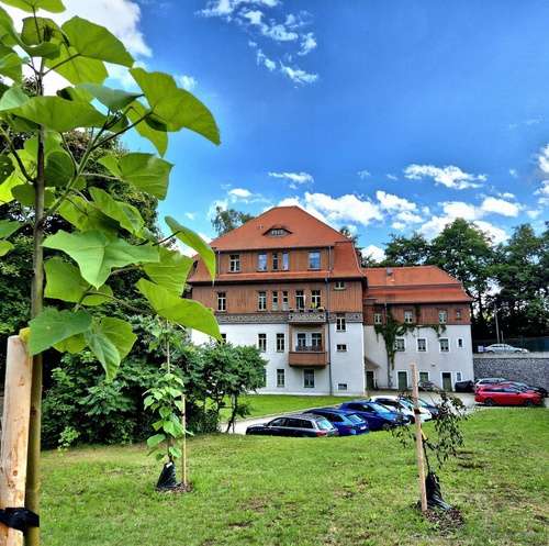 Wohnung zum Mieten in Freiberg 550 € 85.96 m²