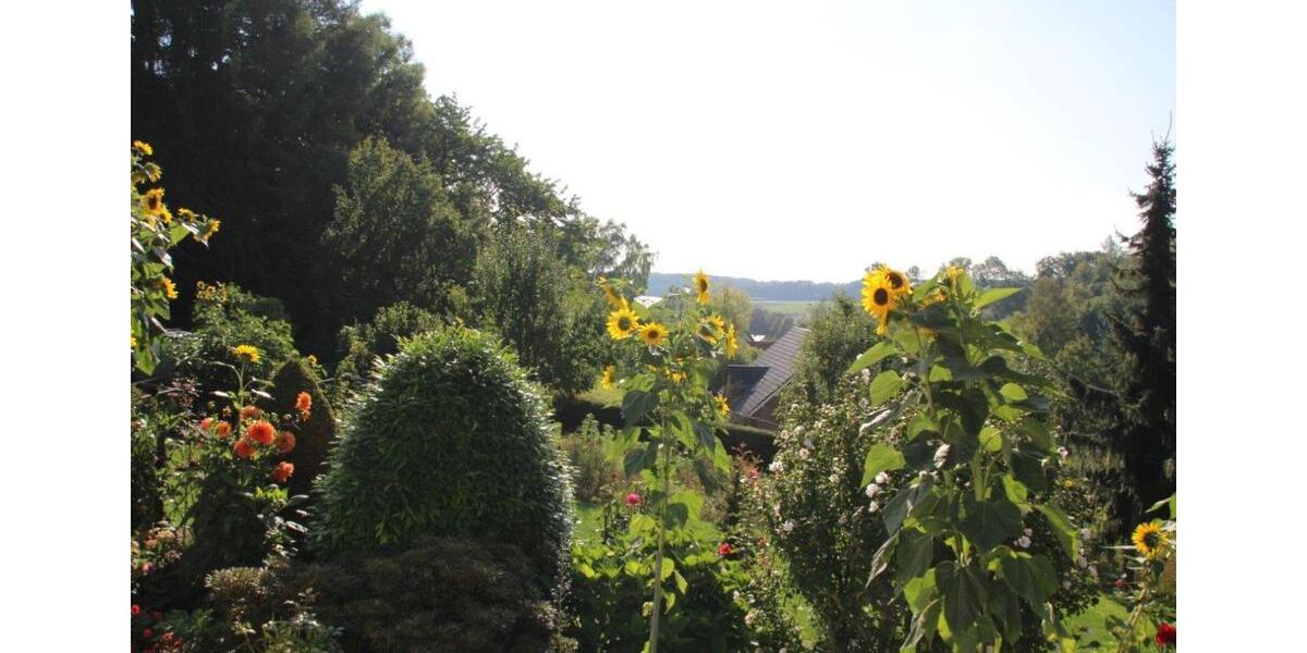 Wohnen auf Zeit Willebadessen - 2 Zimmer, 35 m&sup2;, 60&euro; | Angebot:22697832