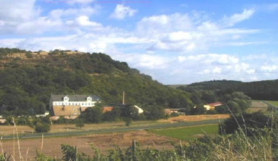 Dachgeschoßwohnung Alzey - 3 Zimmer, 71 m&sup2;, 600&euro; | Angebot:25852597