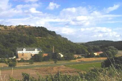 Wohnung Alzey - 3 Zimmer, 71 m&sup2;, 600&euro; | Angebot:25852597