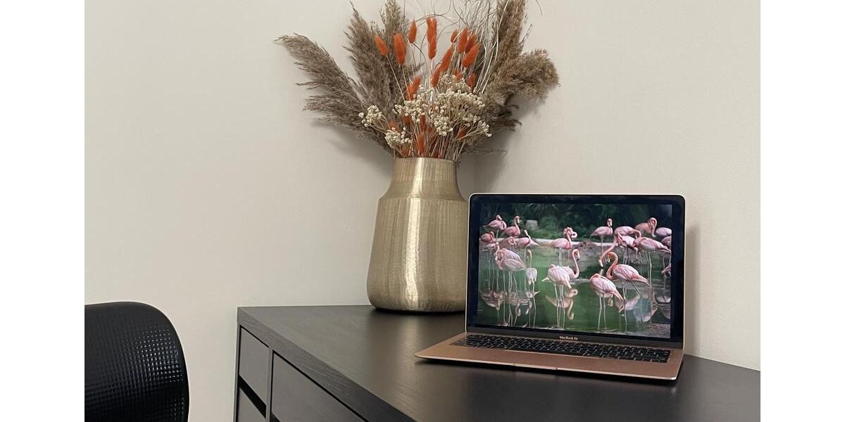 Möblierte-Wohnung | Luxus-Küche | Balkon | XL-TG-Stellplatz 4 zimmer