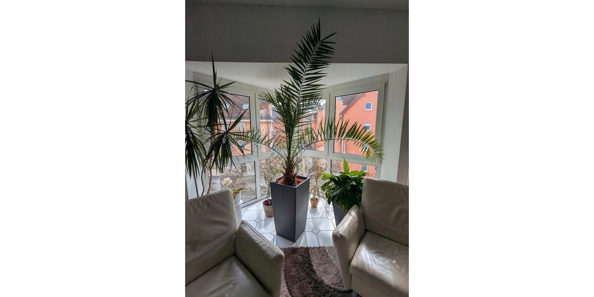 Etagenwohnung Pulsnitz - 3 Zimmer, 94 m&sup2;, 750&euro; | Angebot:26008267