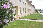 2-Raum-Wohnung im Erdgeschoss mit großer Küche zimmer