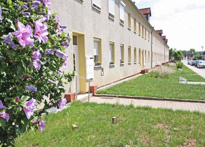 2-Raum-Wohnung im Erdgeschoss mit großer Küche zimmer