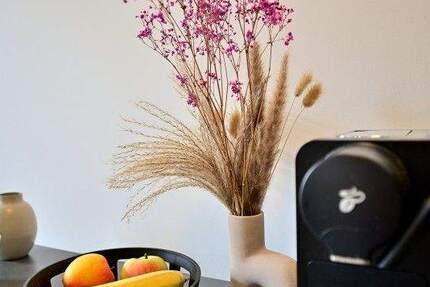 Wohnung Nürnberg St Johannis - 2 Zimmer, 61 m&sup2;, 795&euro; | Angebot:25228644