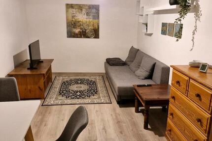 Wohnung Grolsheim - 2 Zimmer, 50 m&sup2;, 500&euro; | Angebot:25173437