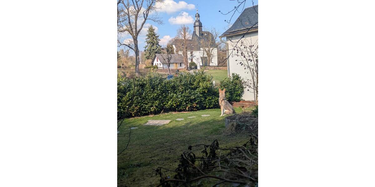 Einfamilienhaus Zeulenroda-Triebes Triebes - 3 Zimmer, 111 m&sup2;, 800&euro; | Angebot:26095002