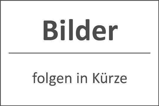 Erstbezug nach Sanierung - Schöne 3-Zimmer Dachgeschoss Wohnung