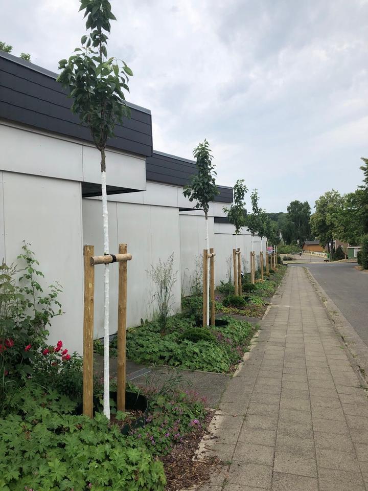 Schöne 2-Zimmer Wohnung mit EBK in Visselhövede zu vermieten