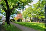 Gewerbeobjekt Krefeld Cracau - 550&euro; | Angebot:25374227