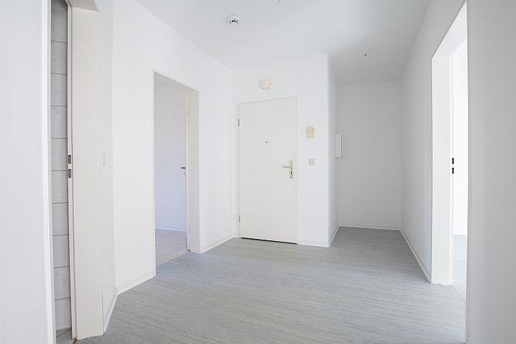 + 2-Raum-Wohnung mit Balkon + 2 zimmer