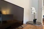 Etagenwohnung Erfurt - 3 Zimmer, 55 m&sup2;, 2.200&euro; | Angebot:26262233