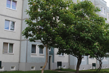 Familiäres Wohnen am Bürgerpark Harzblick zimmer