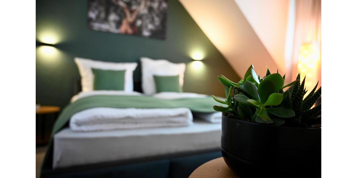 Etagenwohnung Sinzheim - 2 Zimmer, 50 m&sup2;, 95&euro; | Angebot:24444663