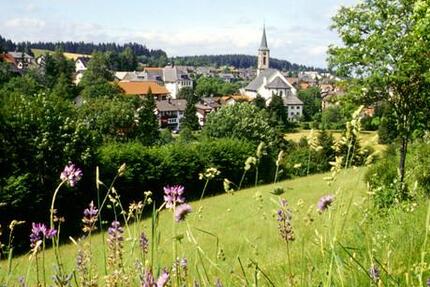 Gemütliches 1-Zimmer Appartement 1 zimmer