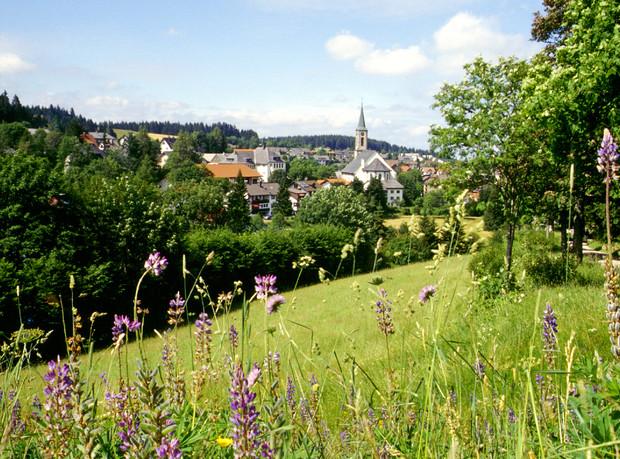 Gemütliches 1-Zimmer Appartement 1 zimmer