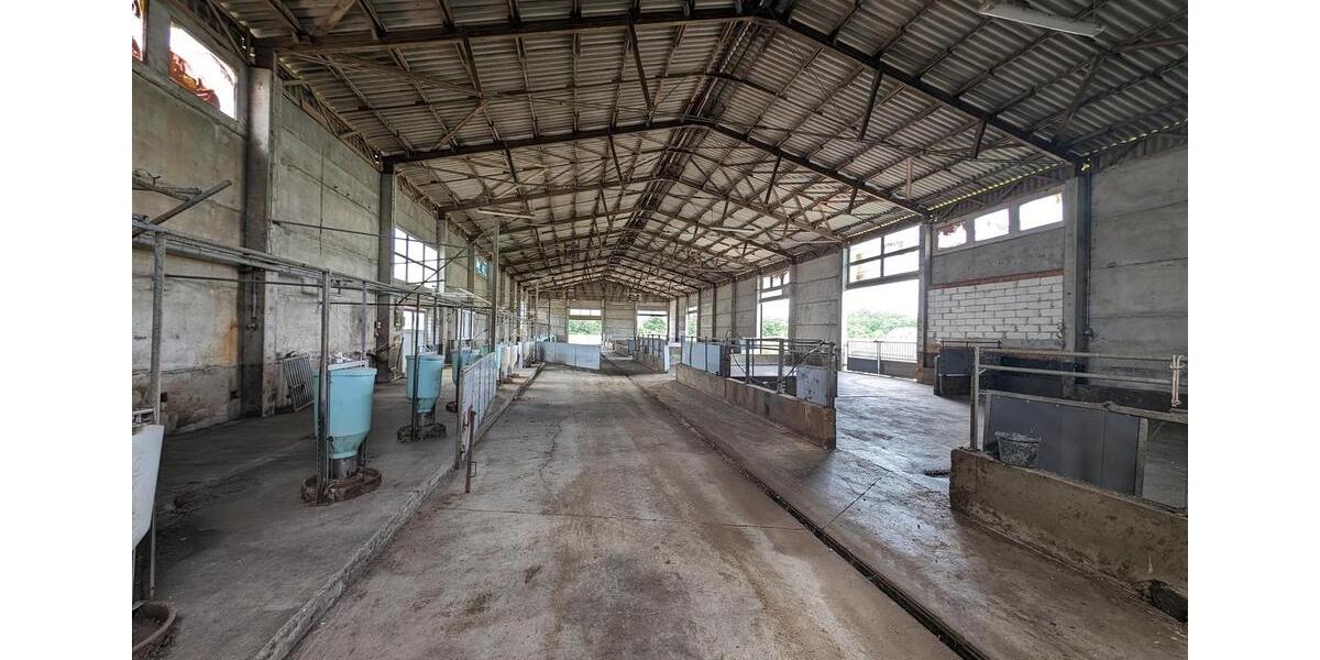 Gewerbeobjekt Jessen (Elster) - 785&euro; | Angebot:24373632