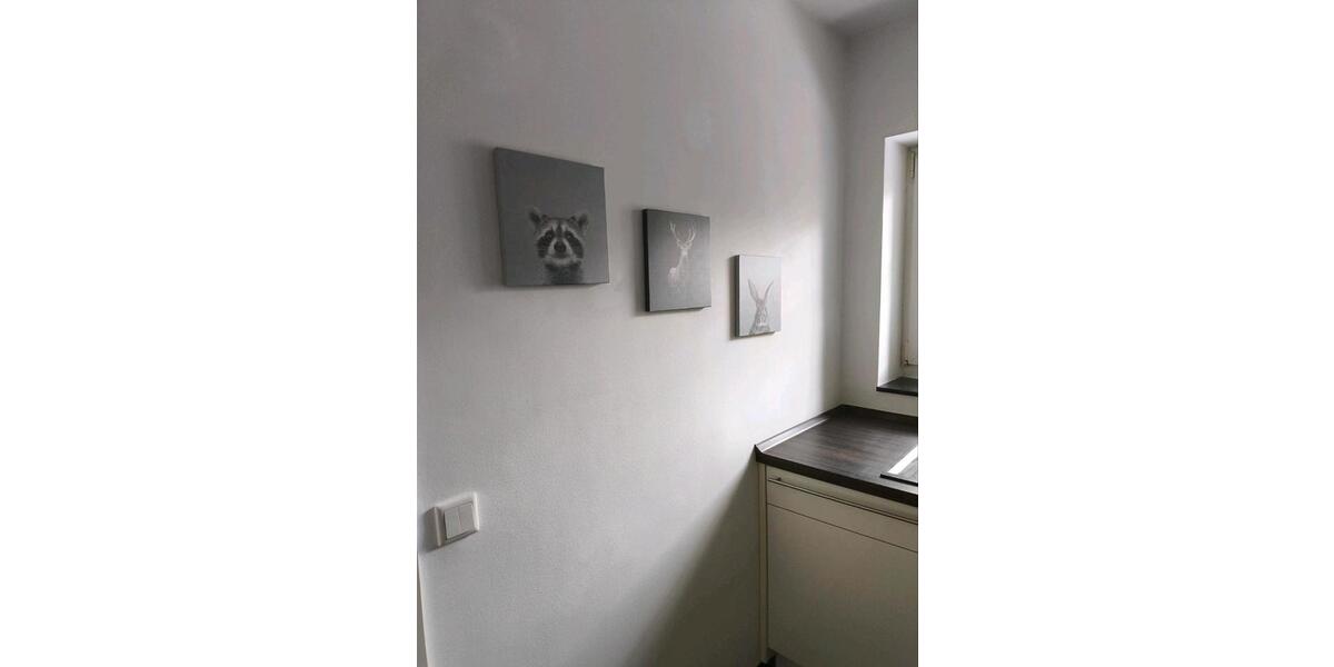 Wohnen auf Zeit Düsseldorf Stadtbezirk 3 - 2 Zimmer, 54 m&sup2;, 1.450&euro; | Angebot:26595974
