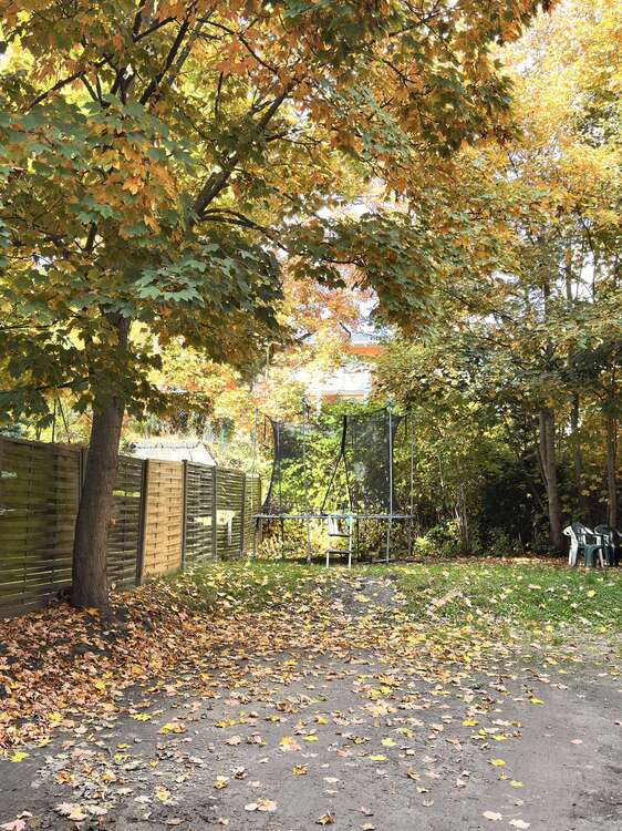 Wohnung zum Mieten in Zwickau 712 € 130 m² 6 zimmer