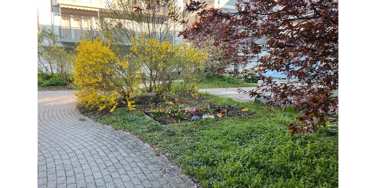Etagenwohnung Meißen - 1 Zimmer, 44 m&sup2;, 473&euro; | Angebot:26178342