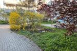 Etagenwohnung Meißen - 1 Zimmer, 44 m&sup2;, 473&euro; | Angebot:26178342