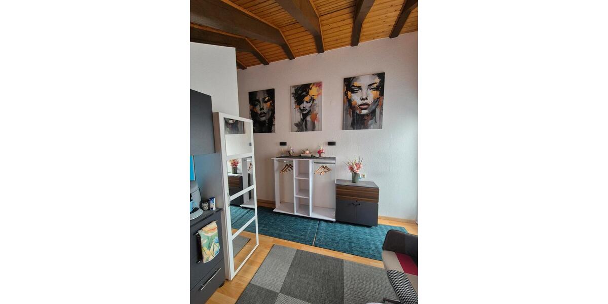 Wohnen auf Zeit Friesenheim - 1 Zimmer, 22 m&sup2;, 780&euro; | Angebot:26677488