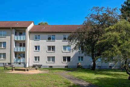 Wohnung Castrop-Rauxel Rauxel - 3 Zimmer, 62 m&sup2;, 459&euro; | Angebot:27169172