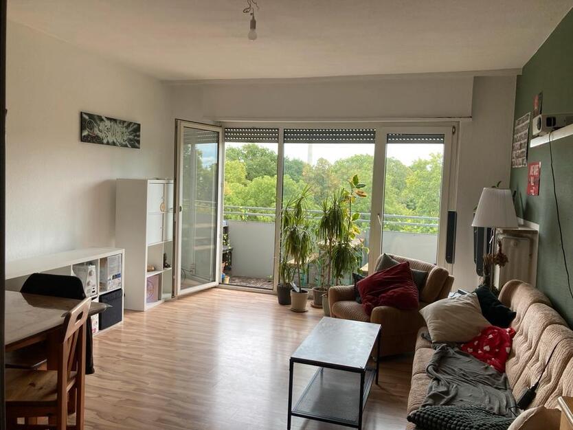 3 Zimmer Wohnung zimmer