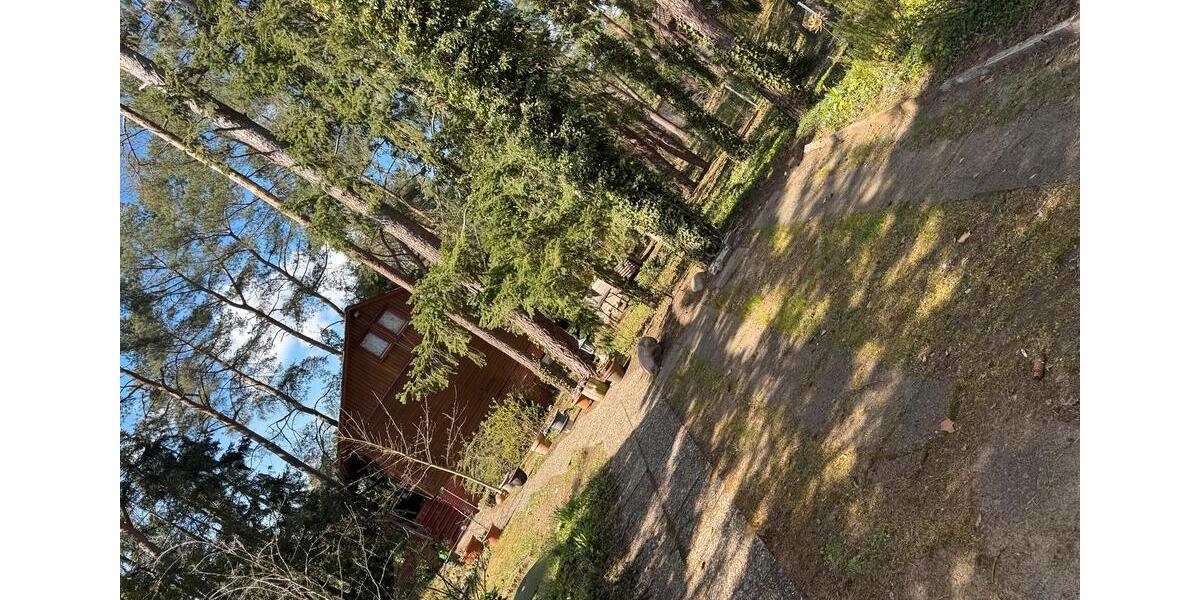 Einfamilienhaus Gorleben - 4 Zimmer, 87 m&sup2;, 600&euro; | Angebot:26261825