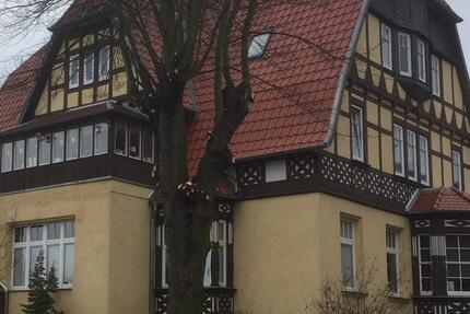 Wohnung Nordhausen - 3 Zimmer, 60 m&sup2;, 390&euro; | Angebot:24670816