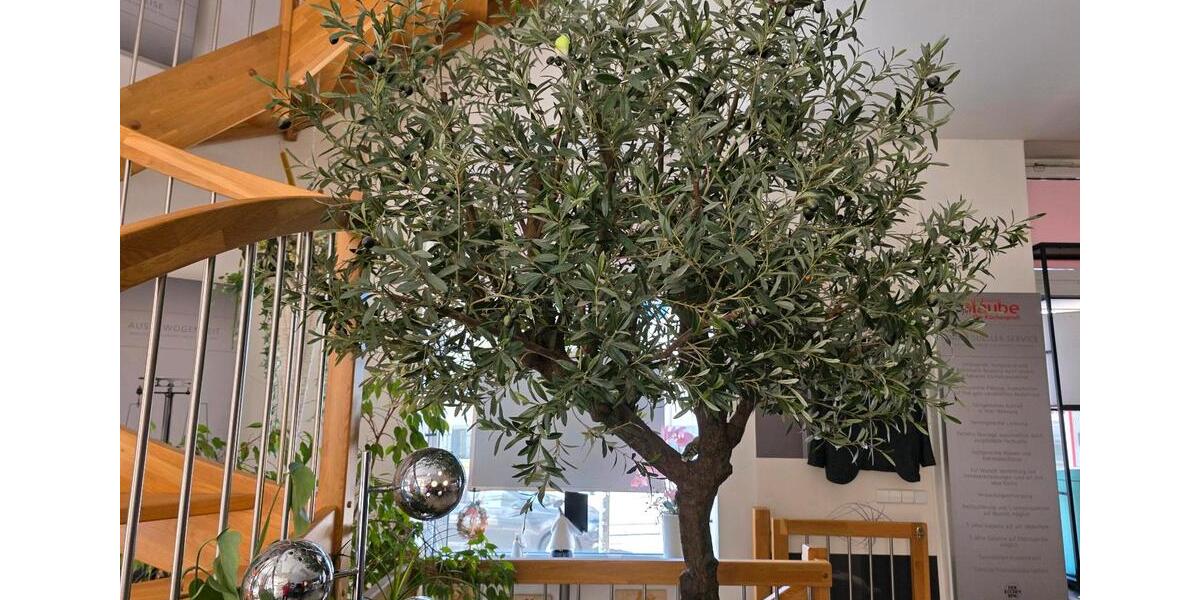 Gewerbeobjekt Brandenburg an der Havel - 980&euro; | Angebot:26504505