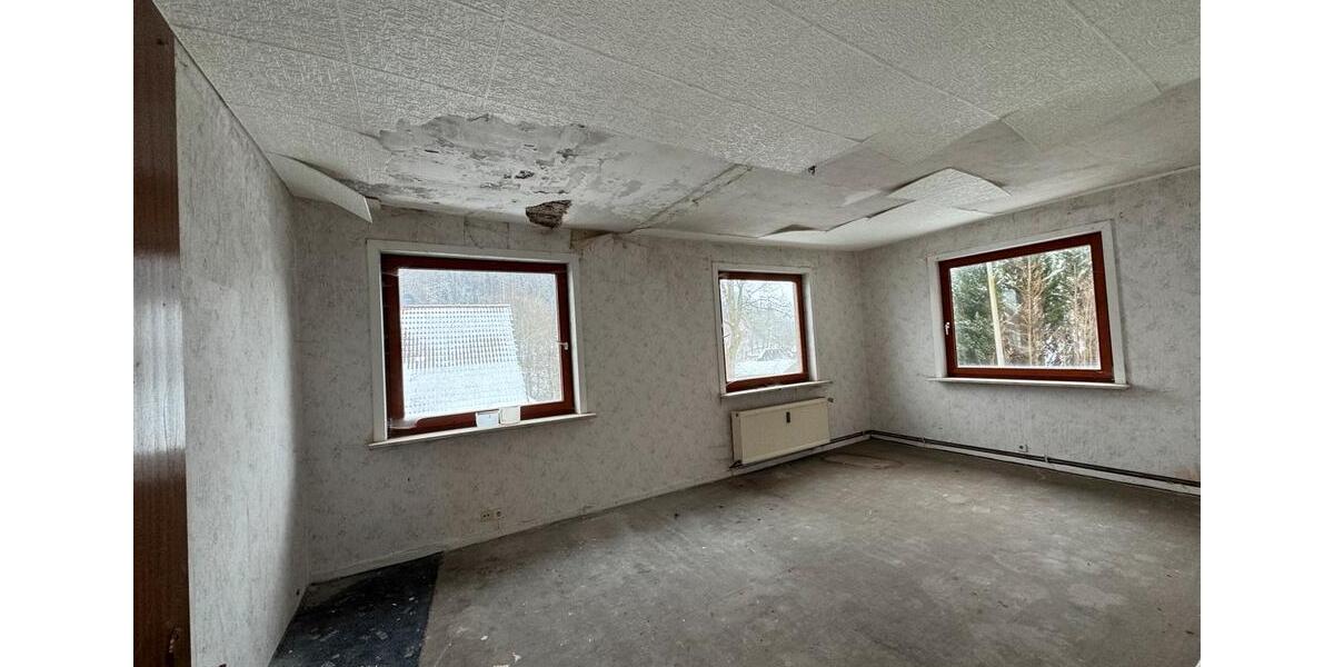 Mehrfamilienhaus, Wohnhaus Harz (LK Goslar) Bergstadt Altenau-Schulenberg i.O. - 18 Zimmer, 555 m&sup2;, 666&euro; | Angebot:22037152