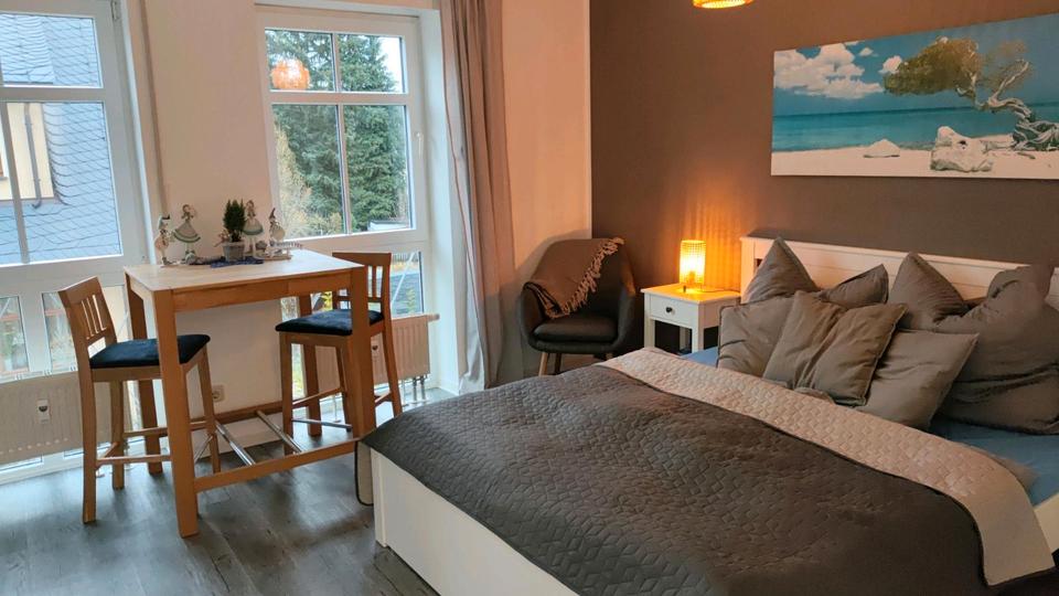 Wohnen auf Zeit Chemnitz Rabenstein - 1 Zimmer, 24 m&sup2;, 700&euro; | Angebot:25401876
